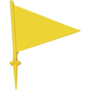 Ananya Sports Boundary Flag