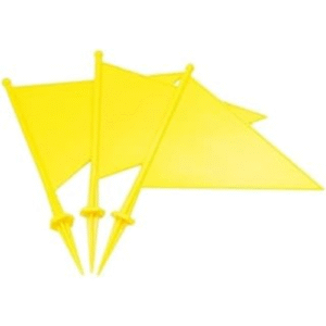 Ananya Sports Boundary Flag
