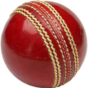 AASA Cricket Ball