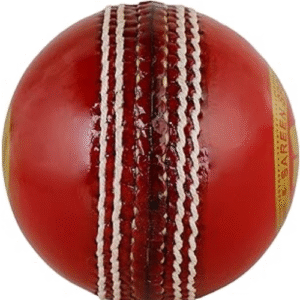 SS Swinger Cricket Ball