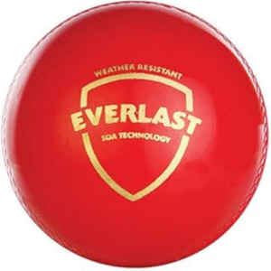 SG Everlast Leather Cricket Ball