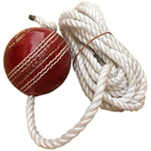 TIMA Leather Cricket Shot Practice Hanging Ball